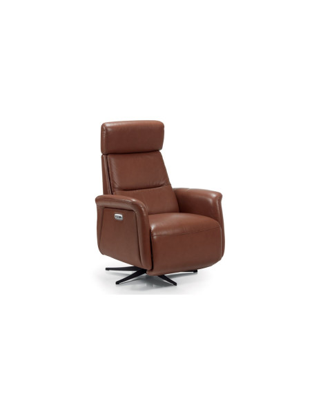 DIANA - Fauteuil relaxation 2 moteurs  