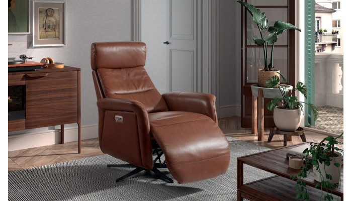 DIANA - Fauteuil relaxation 2 moteurs  