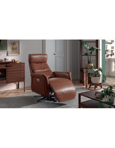DIANA - Fauteuil relaxation 2 moteurs  