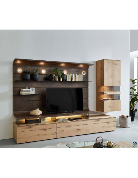 TREVISE - Composition TV 