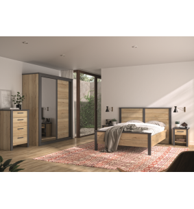 EPSI - Armoire 2 portes miroir et bois 